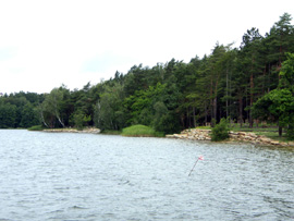 Lesopark Ostende - Bolevecké rybníky