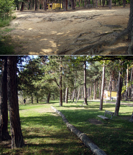 Lesopark Ostende - Bolevecké rybníky