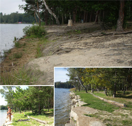 Lesopark Ostende - Bolevecké rybníky