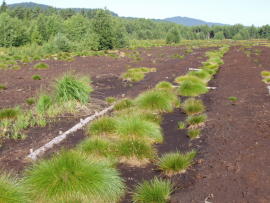 Revitalizace ra�elini�t� - stav v roce 2004 - hrazen� odvod�ovac�ch kan�l�