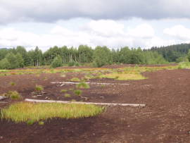 Revitalizace ra�elini�t� - stav v roce 2004 - hrazen� odvod�ovac�ch kan�l�