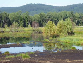 Revitalizace ra�elini�t� - op�tovn� zatopen� t�bou odvodn�n�ch ploch