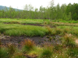 Revitalizace ra�elini�t� - stav v roce 2009