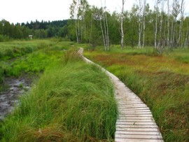 Revitalizace ra�elini�t� - stav v roce 2012 - pov�lkov� chodn�k